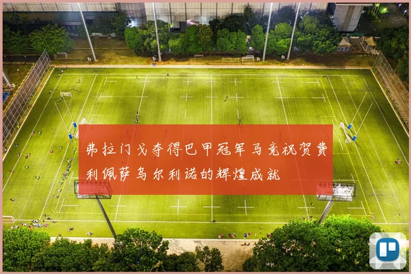 弗拉门戈夺得巴甲冠军马竞祝贺费利佩萨乌尔利诺的辉煌成就
