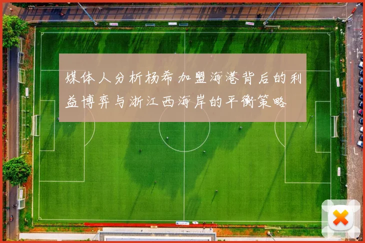 媒体人分析杨希加盟海港背后的利益博弈与浙江西海岸的平衡策略